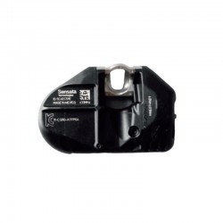 TPMS CAMION  SCANIA ( 1 UND )